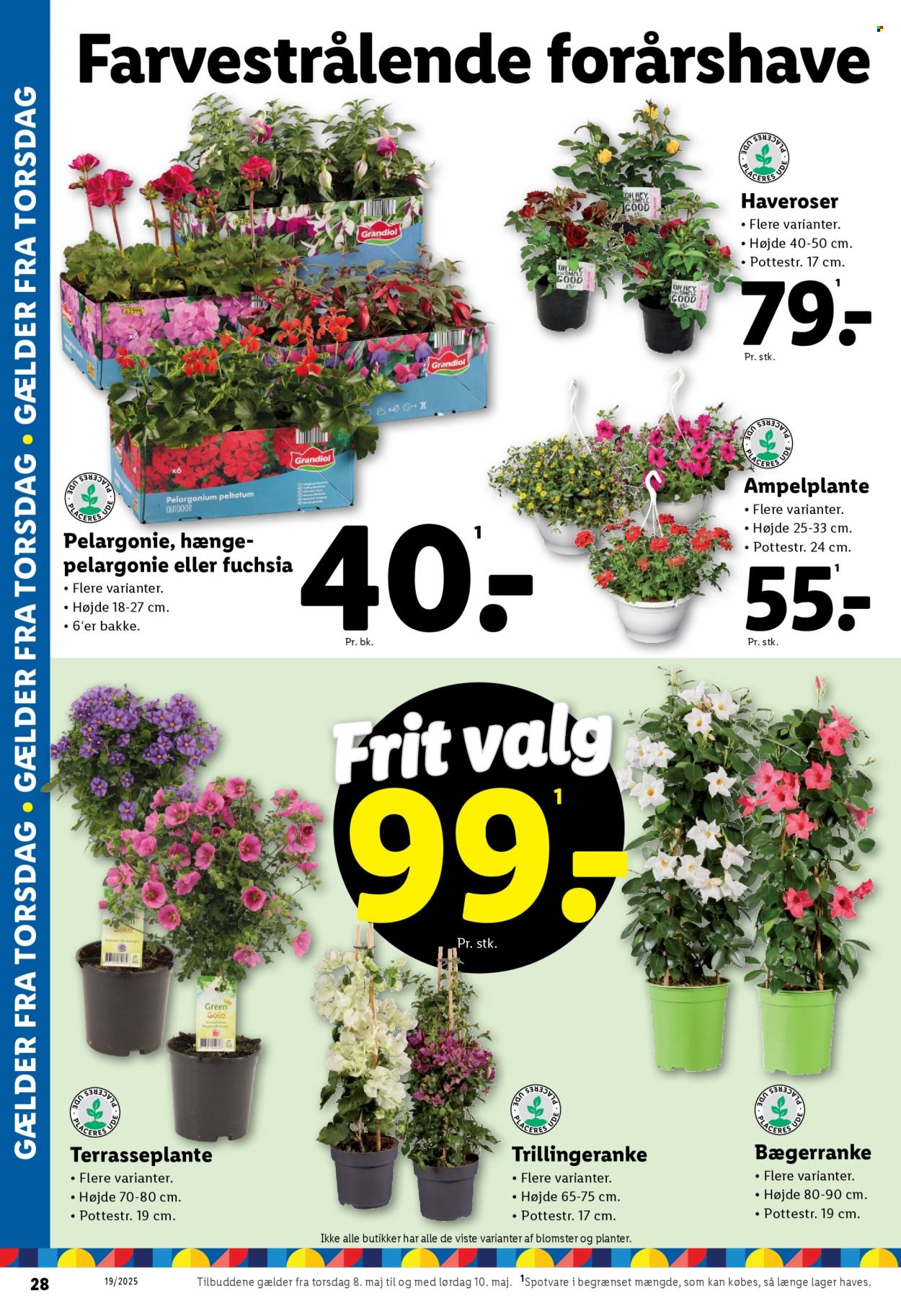 Lidl tilbudsavis  - 08.05.2025 - 10.05.2025. Side 8.