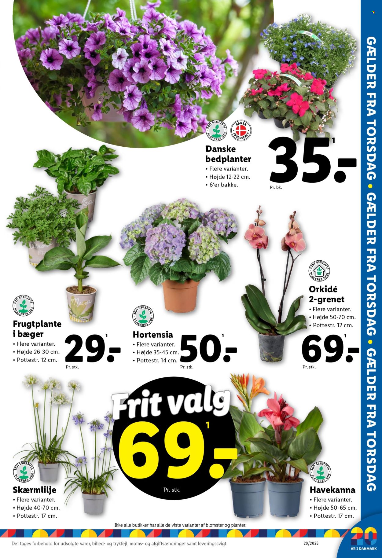 Lidl tilbudsavis  - 11.05.2025 - 17.05.2025. Side 33.