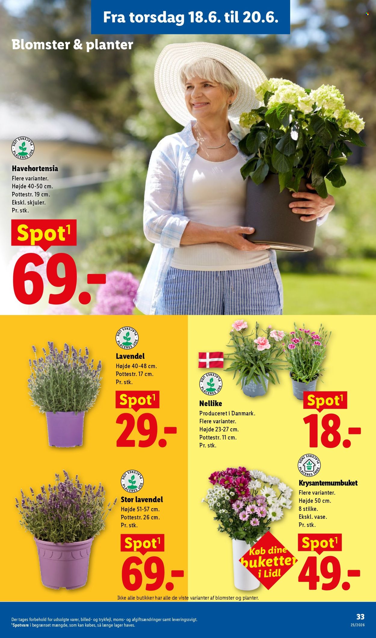 Lidl tilbudsavis  - 14.06.2026 - 20.06.2026. Side 34. Side 34