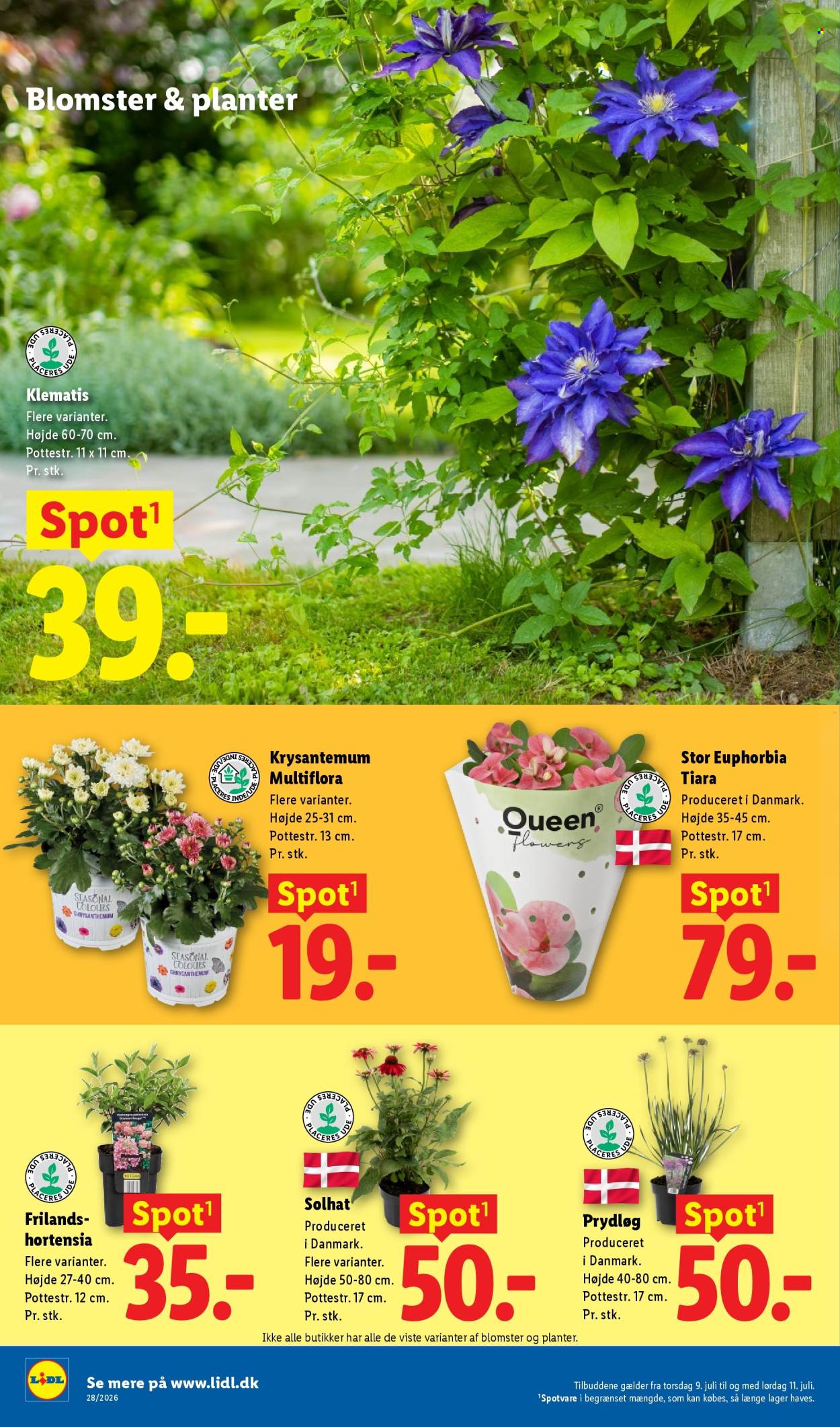 Lidl tilbudsavis  - 05.07.2026 - 11.07.2026. Side 35. Side 35