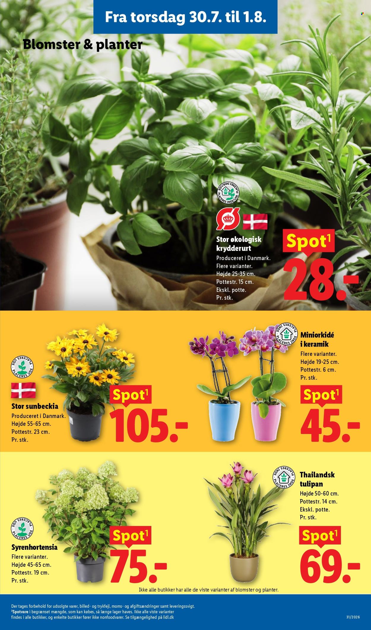 Lidl tilbudsavis  - 26.07.2026 - 01.08.2026. Side 36. Side 36