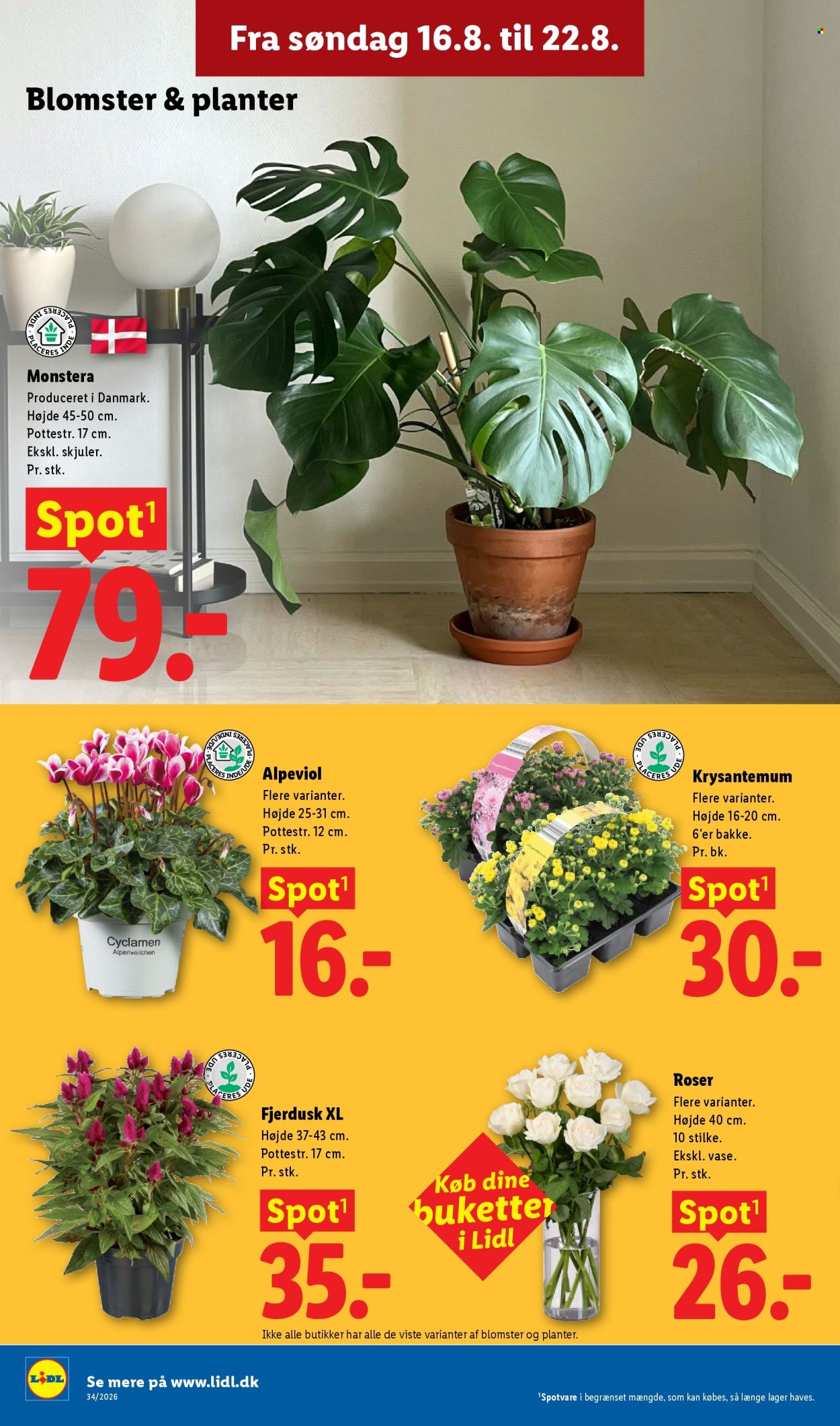 Lidl tilbudsavis  - 16.08.2026 - 22.08.2026. Side 33. Side 33