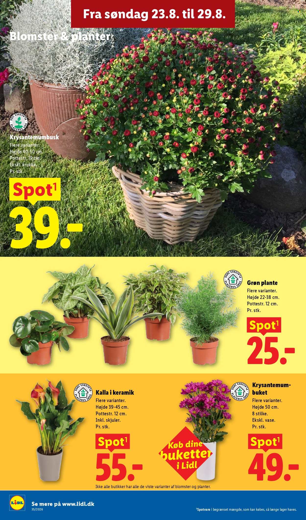 Lidl tilbudsavis  - 23.08.2026 - 29.08.2026. Side 36. Side 36