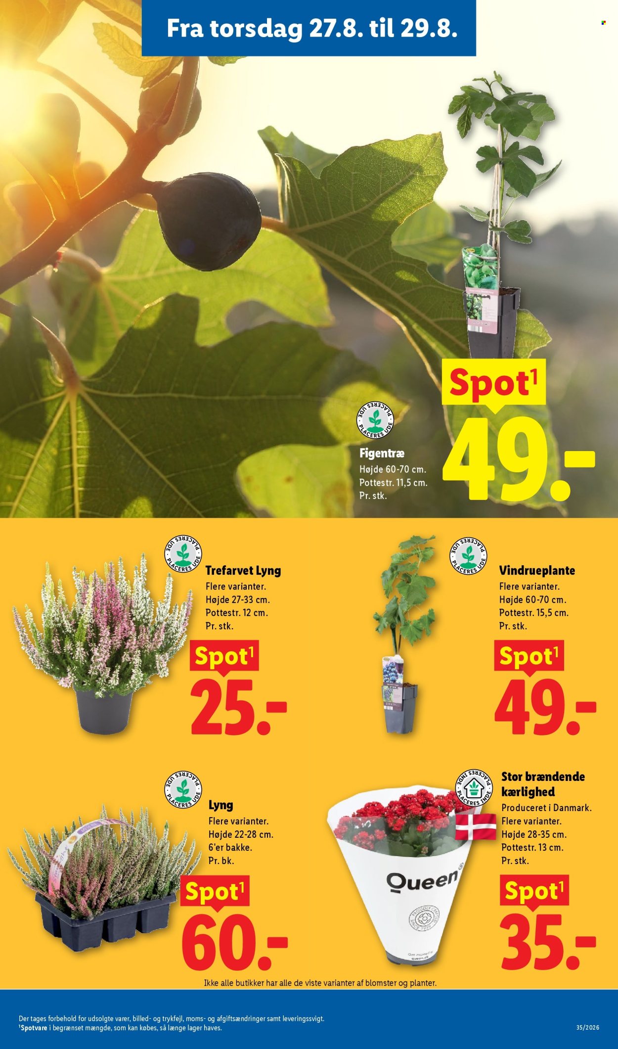 Lidl tilbudsavis  - 23.08.2026 - 29.08.2026. Side 37. Side 37