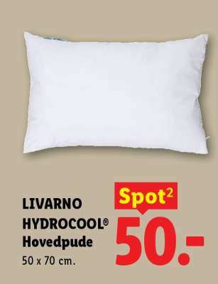 LIVARNO HYDROCOOL Hovedpude