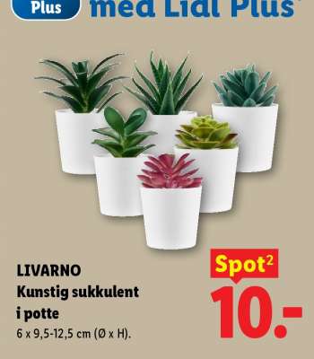 LIVARNO Kunstig sukkulent i potte