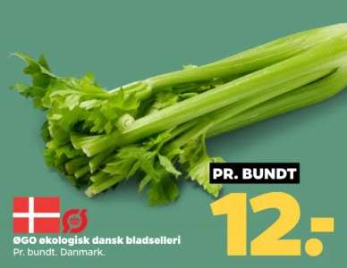 ØGO ekologisk dansk bladselleri