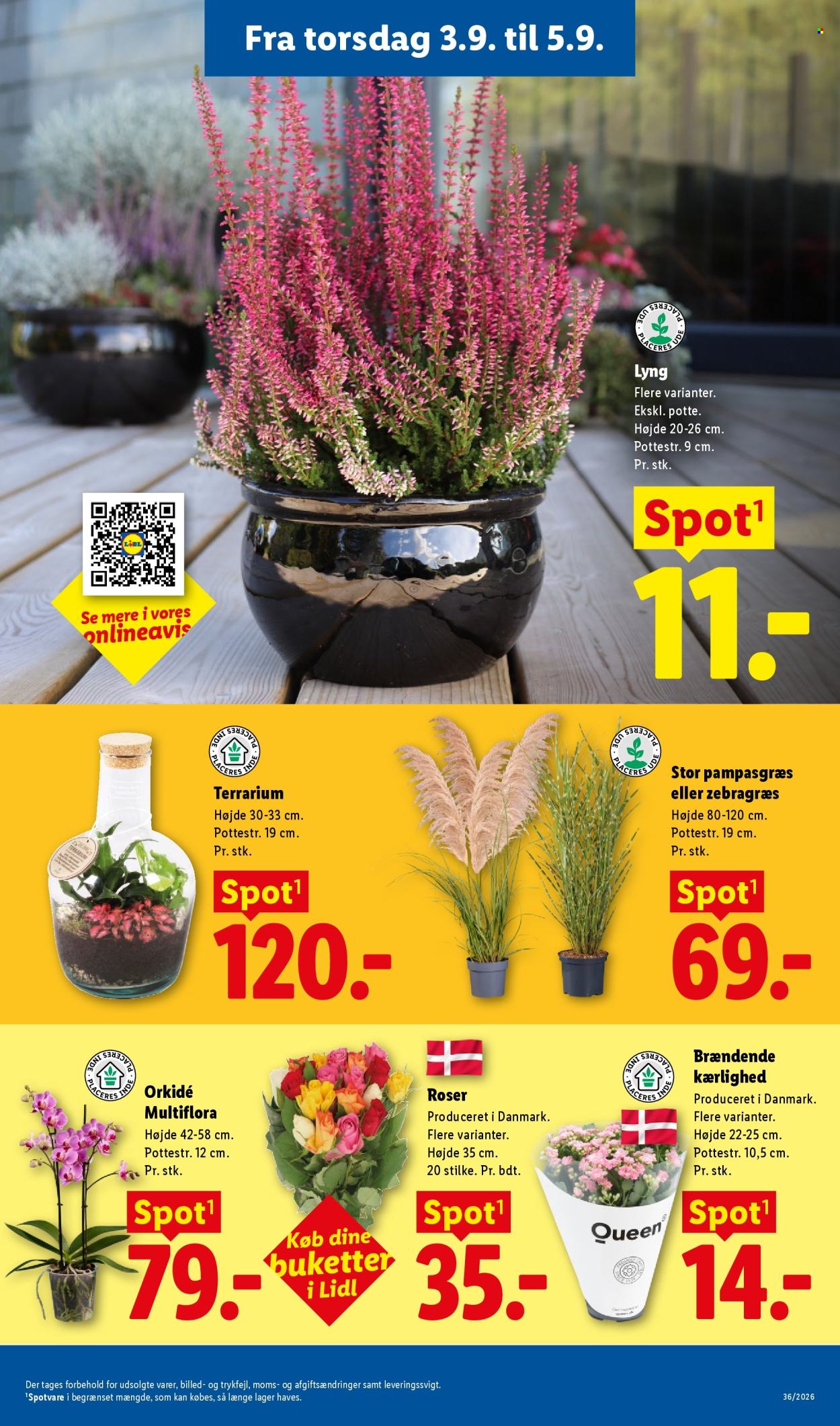 Lidl tilbudsavis  - 30.08.2026 - 05.09.2026. Side 33. Side 33