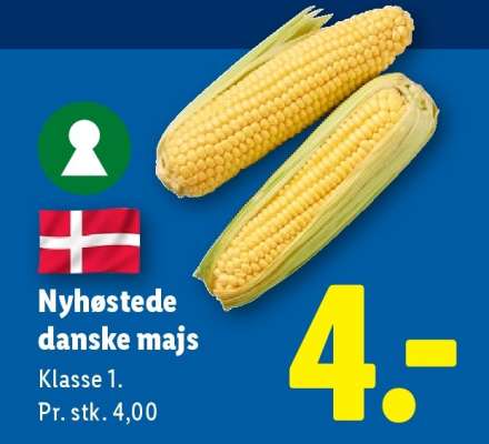 Nyhøstede danske majs