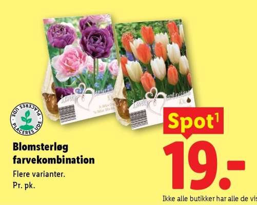 Blomsterløg farvekombination