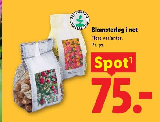 Blomsterløg i net