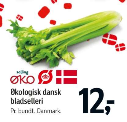 Økologisk dansk bladselleri