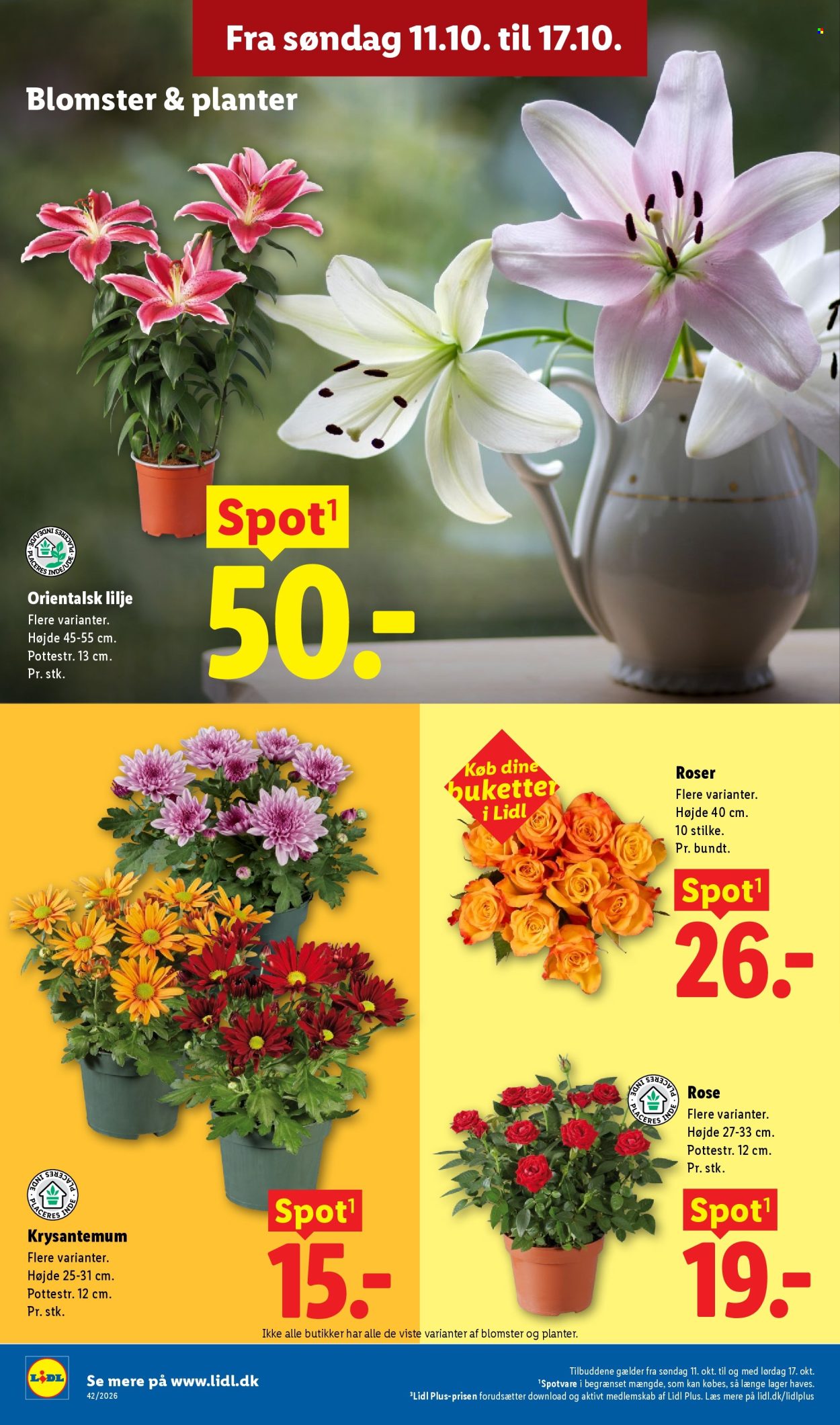 Lidl tilbudsavis  - 11.10.2026 - 17.10.2026. Side 34. Side 34