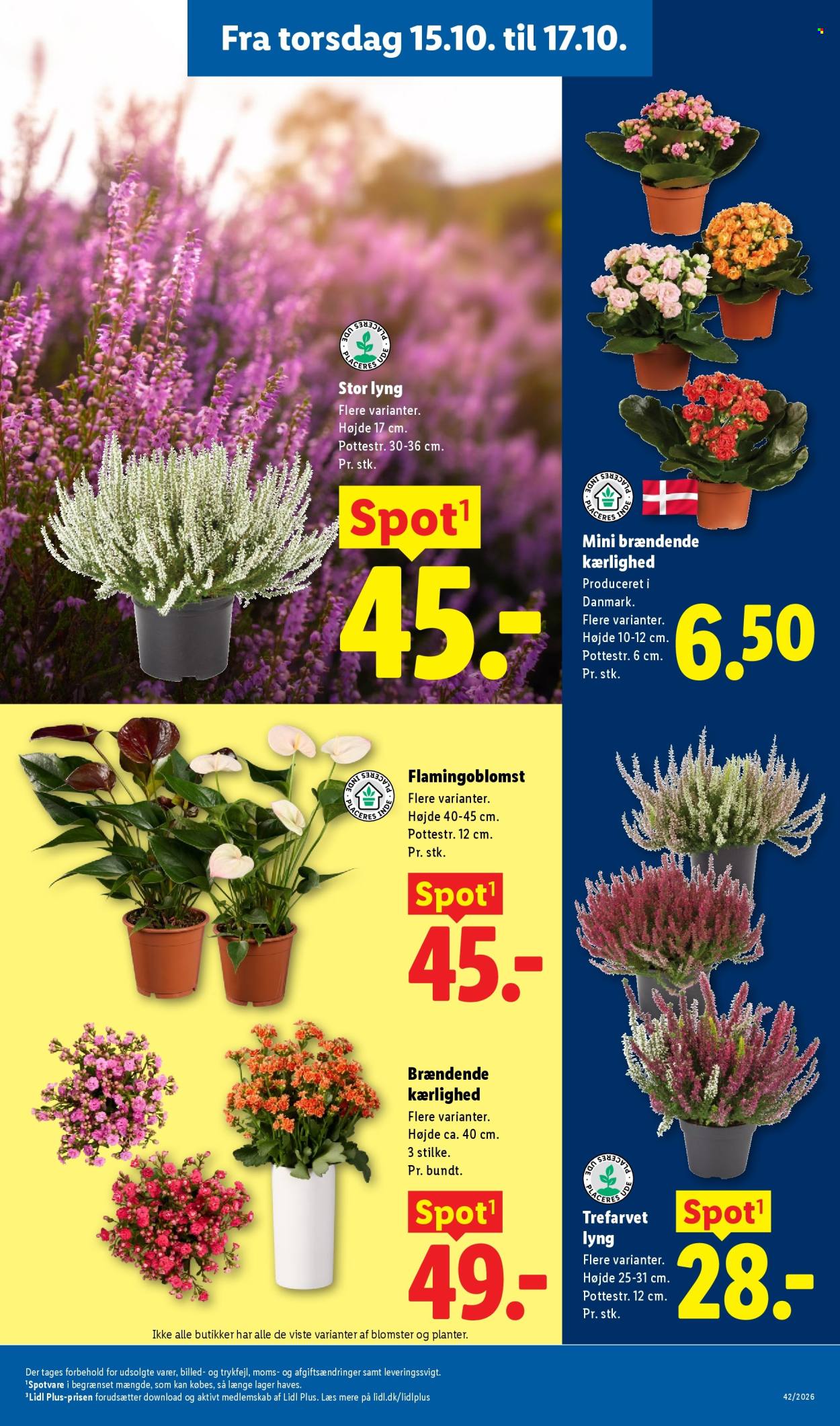 Lidl tilbudsavis  - 11.10.2026 - 17.10.2026. Side 35. Side 35