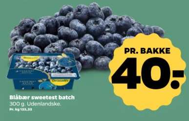 Blåbær sweetest batch