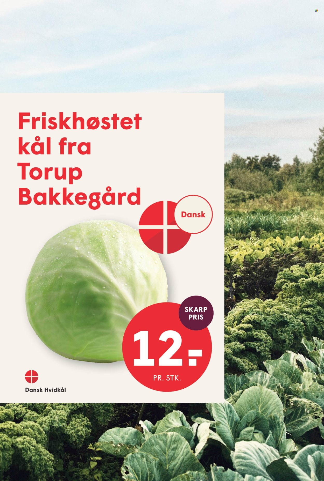SPAR tilbudsavis  - 09.10.2026 - 15.10.2026. Side 5. Side 5