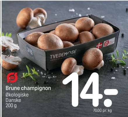 Brune champignon