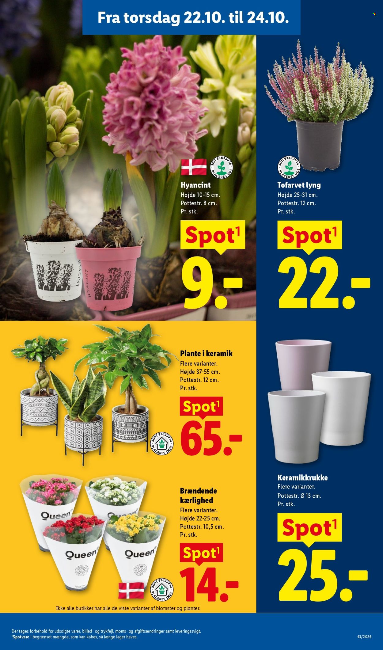 Lidl tilbudsavis  - 18.10.2026 - 24.10.2026. Side 32. Side 32