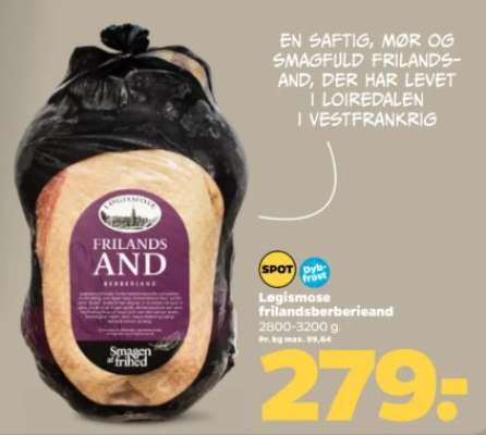 Løgismose frilandsberberieand